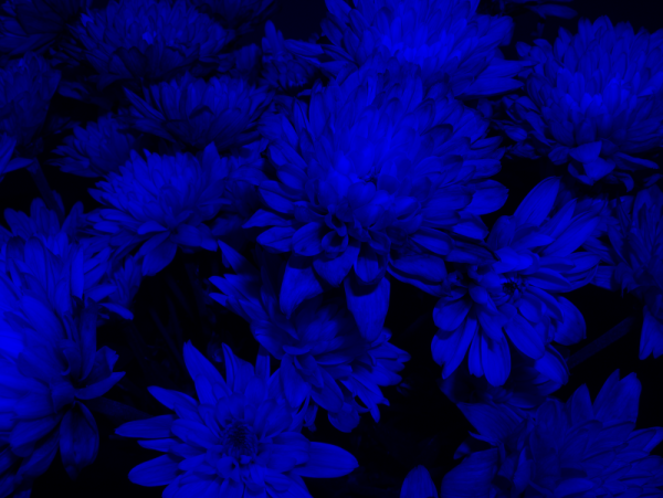 Transparent overlay example