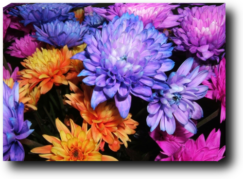 Canvas print example