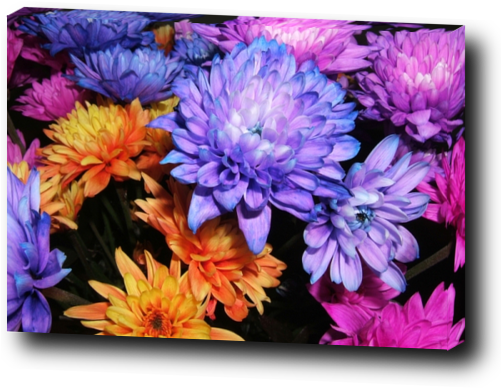 Canvas print example