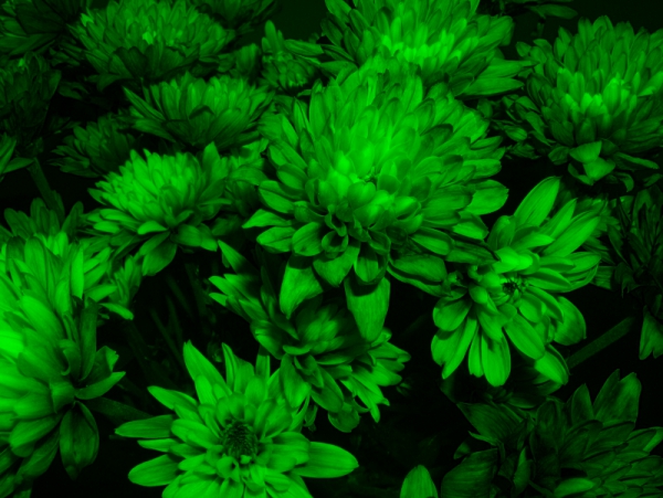  Green channel example