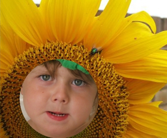 Composite hard edge example