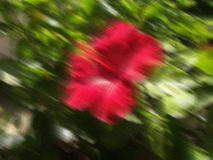 Motion blur example