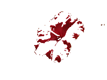 Transparent inverted example