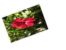 Scale rotate translate example