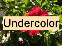 Undercolor example