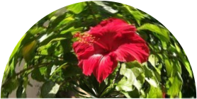 Arc example