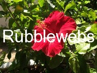 Annotate image example