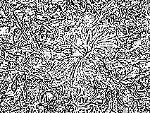 Convolve image example Convolve image example