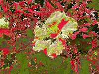 Cycle colormap image example Cycle colormap image example