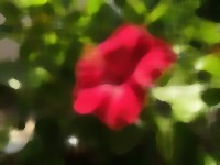 Median filter image example