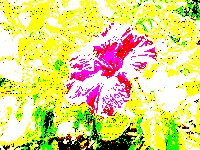 Random threshold image example