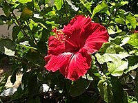 Sharpen image example