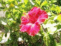 Sketch image example