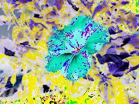 solarizeImage example