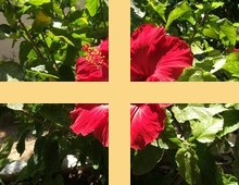 Splice image example