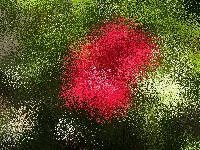 Spread image example